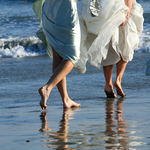 A. Michael's Photography Logo